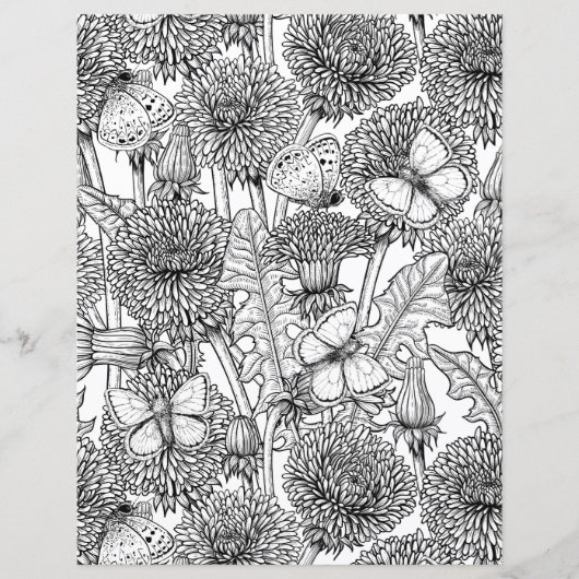 Dandelion meadow in black and white (Front)