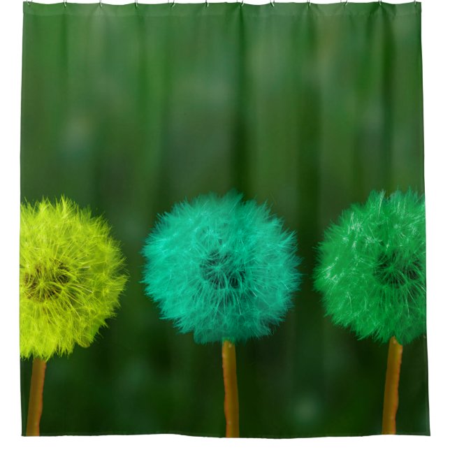 Dandelion multicoloured colored shower curtain (Front)