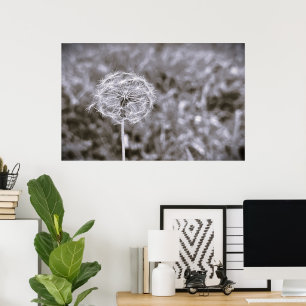 Dandelion - Noir, Poster