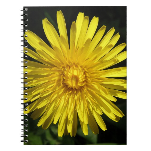 Dandelion Notebook (Front)