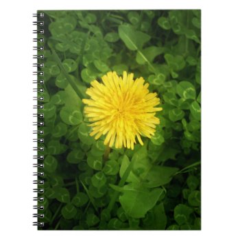Dandelion Notebook by usadesignstore at Zazzle