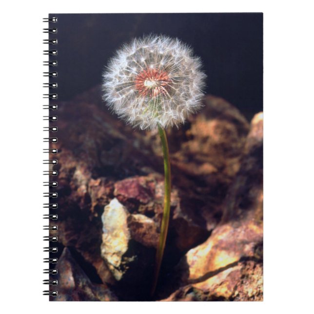 Dandelion Notebook (Front)