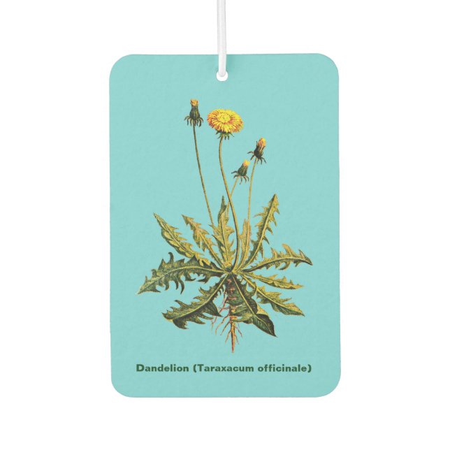 Dandelion On Blue Car Air Freshener (Front)