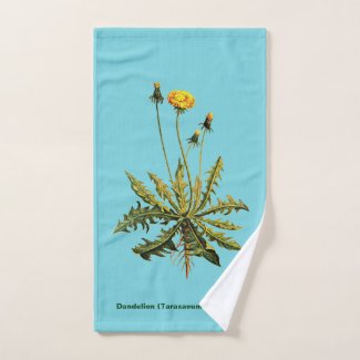 Dandelion On Blue