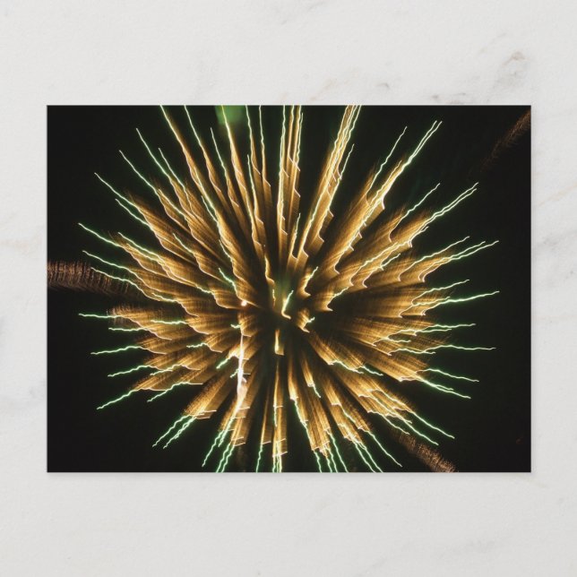 Dandelion on Fire Postcard (Front)