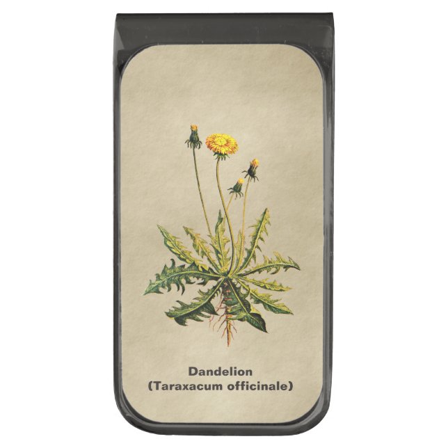 Dandelion On Old Paper Gunmetal Finish Money Clip (Front Vertical)