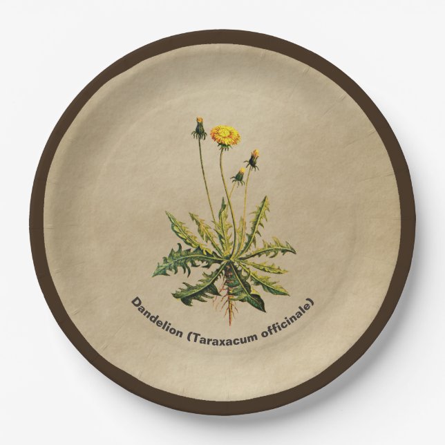 Dandelion On Old Paper Paper Plates (Front)