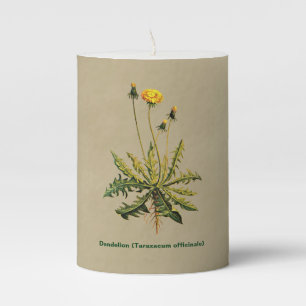 Dandelion On Old Paper Pillar Candle