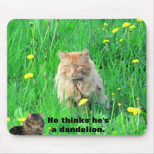 Dandelion Or Lion MEME Mouse Pad