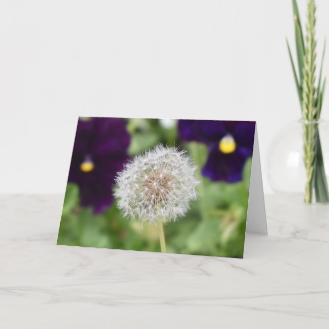 Dandelion & pansies greeting card (Front)