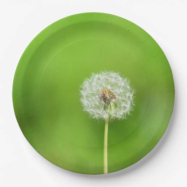 Dandelion Paper Plates (Front)