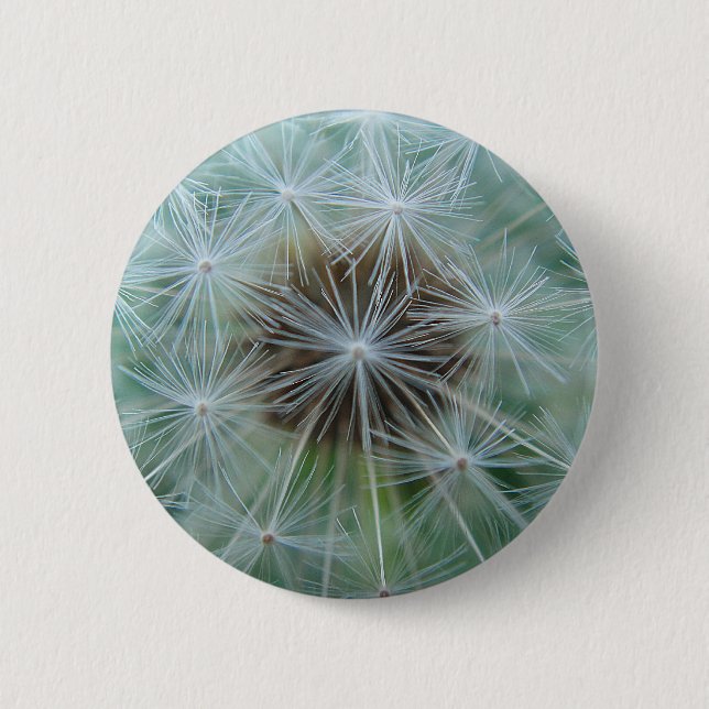 Dandelion pattern pinback button (Front)