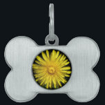 Dandelion Pet Tag<br><div class="desc">This awesome pet tag features a photograph of a yellow dandelion flower. The photo was taken using macro photography resulting in such brilliant detail that you can see the individual petals and the shadows cast on them.</div>