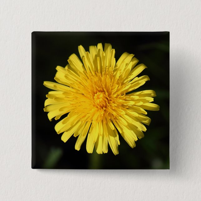 Dandelion Pinback Button (Front)