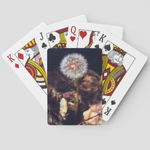 Dandelion Poker Cards