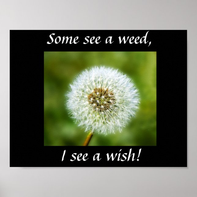 Dandelion Poster - Some see a weed, I see a wish! (Front)