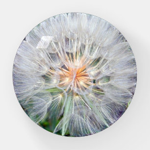 Dandelion Puff Paperweight