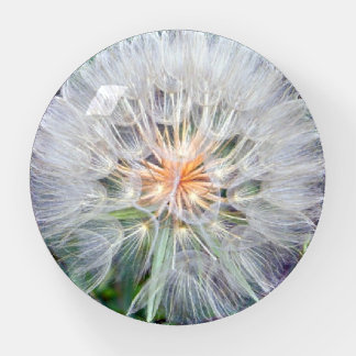 Dandelion Puff Paperweight