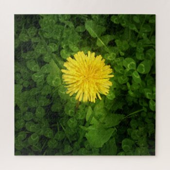 Dandelion Puzzle by usadesignstore at Zazzle