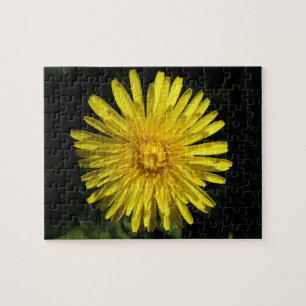 Dandelion Puzzle