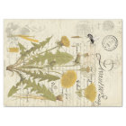 Dandelion Script Decoupage Tissue Sheets
