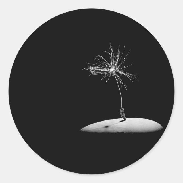 Dandelion Seed Head Classic Round Sticker (Front)