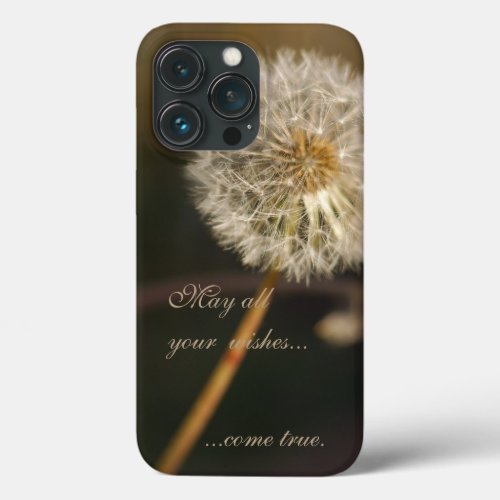 Dandelion Seed Head in Brown Tones iPhone 13 Pro Case