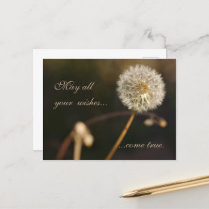 Dandelion Seed Head in Brown Tones Postcard