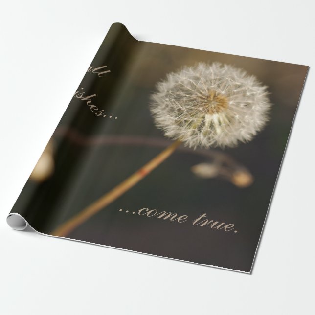 Dandelion Seed Head in Brown Tones Wrapping Paper (Unrolled)