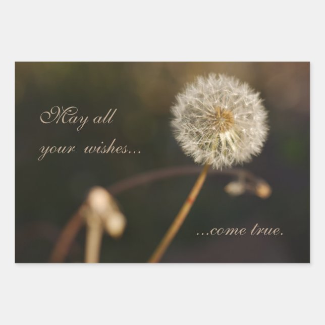 Dandelion Seed Head in Brown Tones Wrapping Paper Sheets (Front)