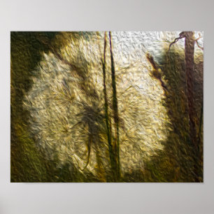 Dandelion seed head (oil painting) poster