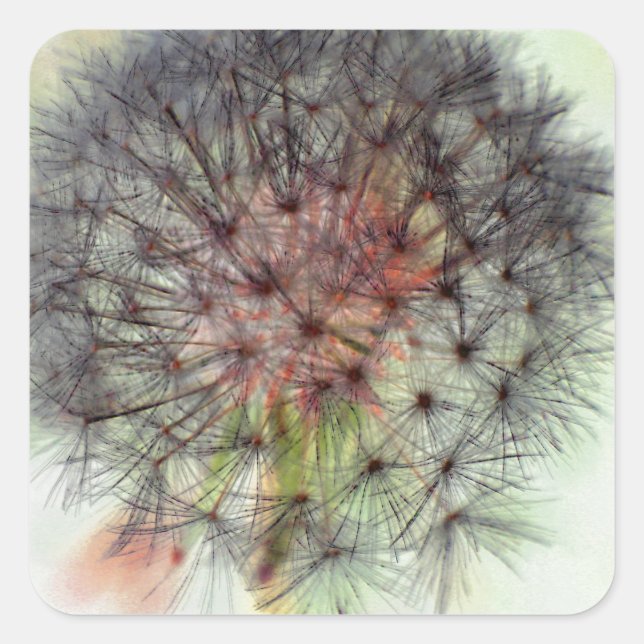 Dandelion Seed Head Square Sticker (Front)