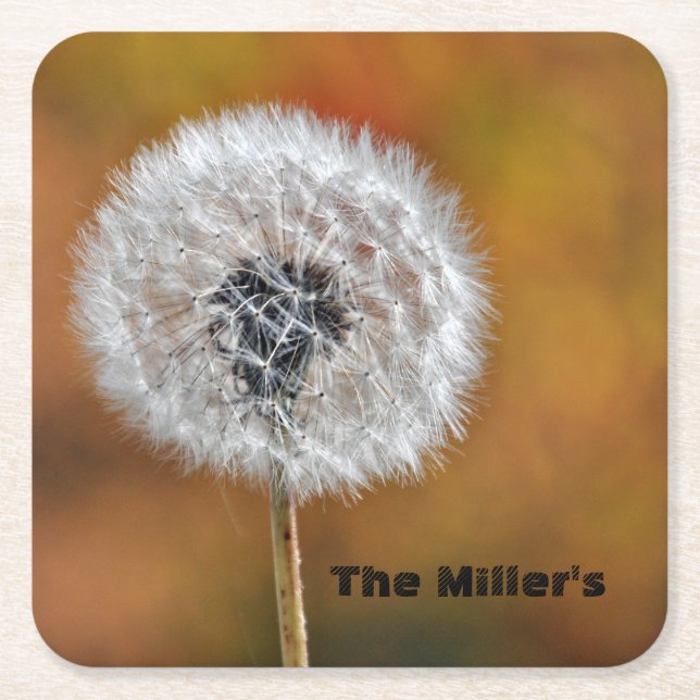 Dandelion Seed Head w/ Customizable Text Square Paper Coaster (Front)