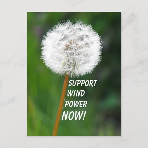 Dandelion Seed Head Wind Power Postcard