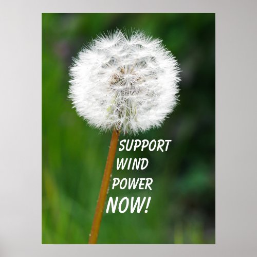 Dandelion Seed Head Wind Power Poster