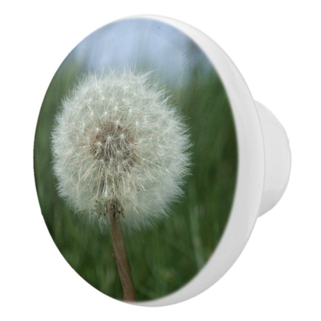 Dandelion Seedhead Dresser Knob (Right)