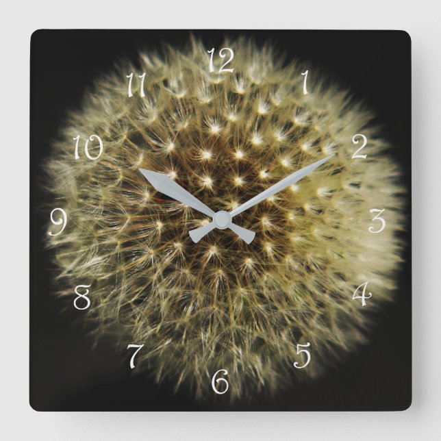 Dandelion Seedhead White Script Numbers wcm Square Wall Clock (Front)
