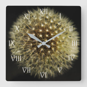 Dandelion Seedhead White Script Roman wccnm Square Wall Clock