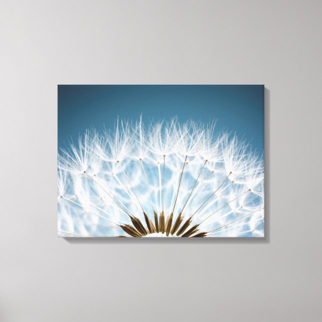 Dandelion Seeds Canvas Print (Front)