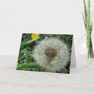 Dandelion Seeds Card