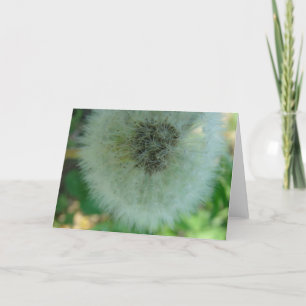Dandelion Seeds Card