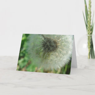 Dandelion Seeds Card