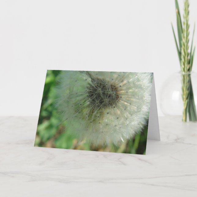 Dandelion Seeds Card (Front)