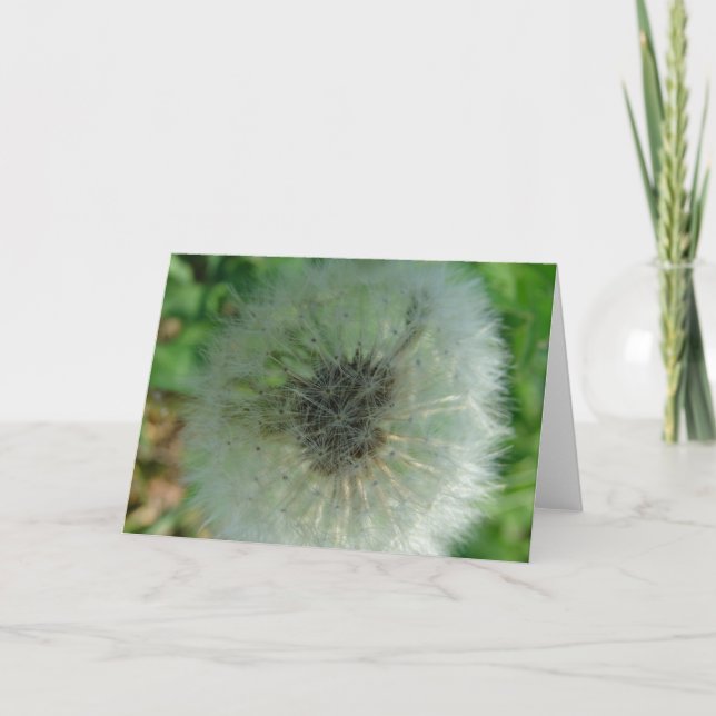 Dandelion Seeds Card (Front)