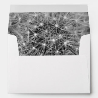 Dandelion Seeds Envelope