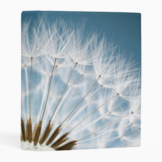 Dandelion Seeds Mini Binder (Front/Spine)