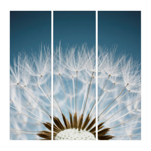 Dandelion Seeds Triptych