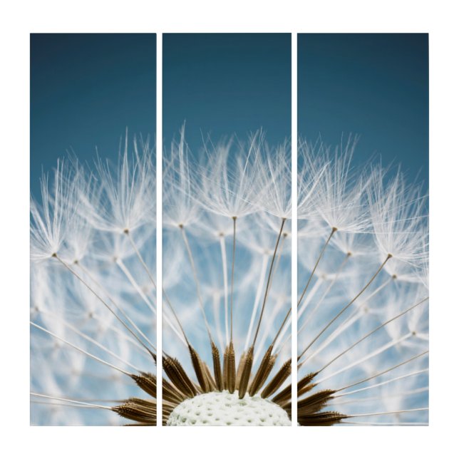 Dandelion Seeds Triptych (Front)