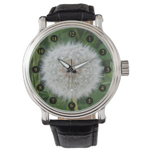 Dandelion Seeds Watch