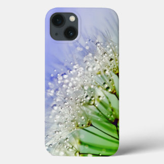 Dandelion Seeds with Dew Droplets iPhone 13 Case
